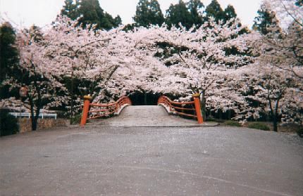 bridge1b.jpg