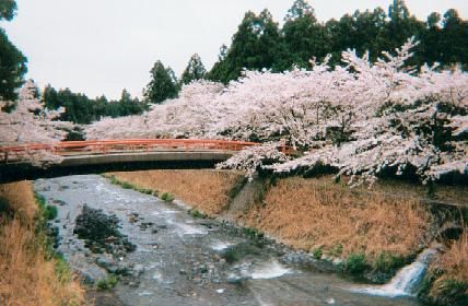 bridge4b.jpg