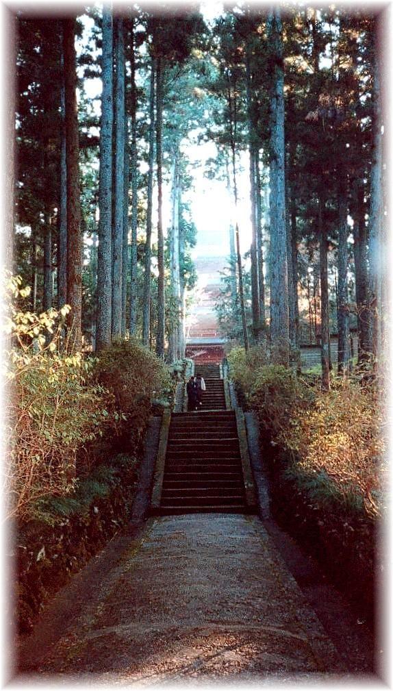 pagoda1b.jpg